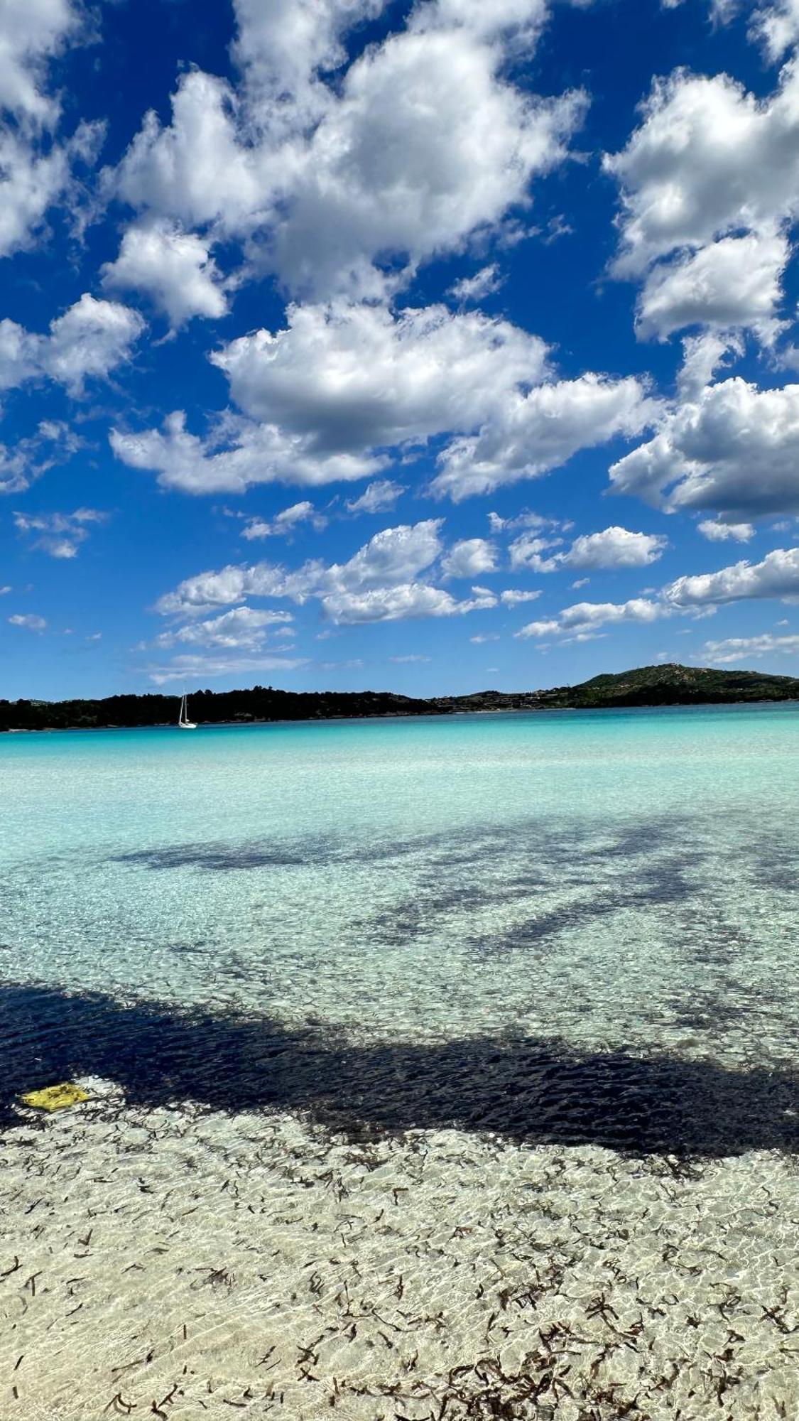 Appartamento Davide'S Sardinian Escape - Centro Storico-5Min Di Auto Dal Mare Siniscola Esterno foto